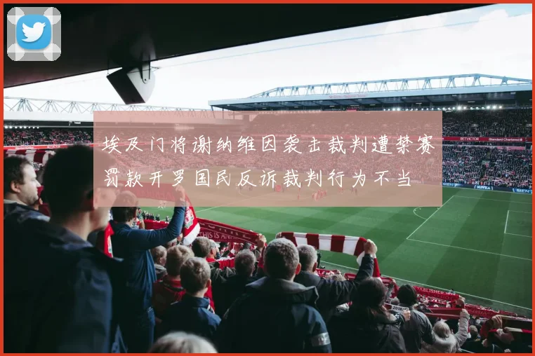 埃及门将谢纳维因袭击裁判遭禁赛罚款开罗国民反诉裁判行为不当