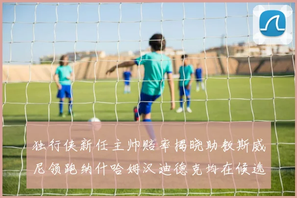 独行侠新任主帅赔率揭晓助教斯威尼领跑纳什哈姆汉迪德克均在候选之中