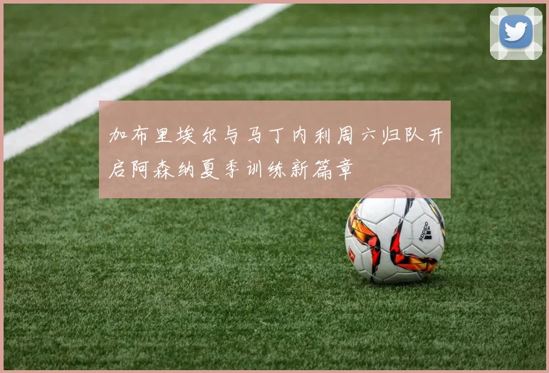 加布里埃尔与马丁内利周六归队开启阿森纳夏季训练新篇章